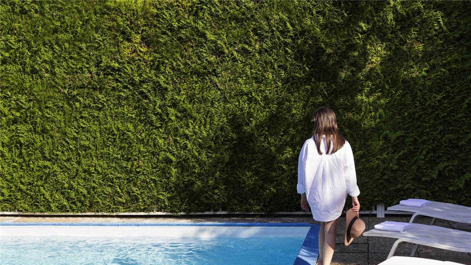 Mercure Paris Sud Les Ulis Other
