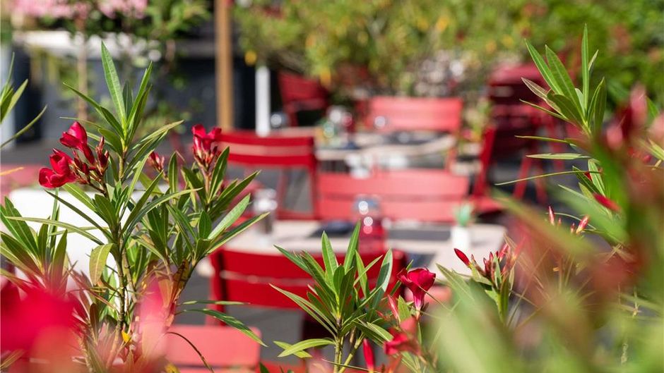Novotel Grenoble Restaurant
