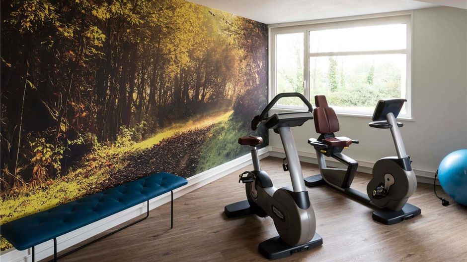 Novotel Lyon Bron Eurexpo Hotel Health