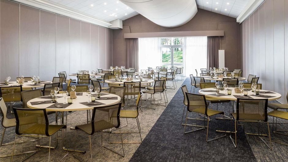 Novotel Lyon Bron Eurexpo Hotel Meeting
