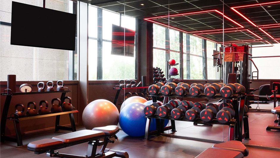 Ibis Amsterdam Airport Hotel Health