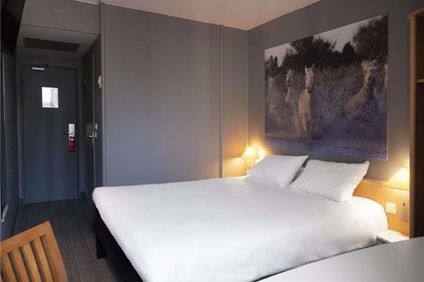 Ibis Arles