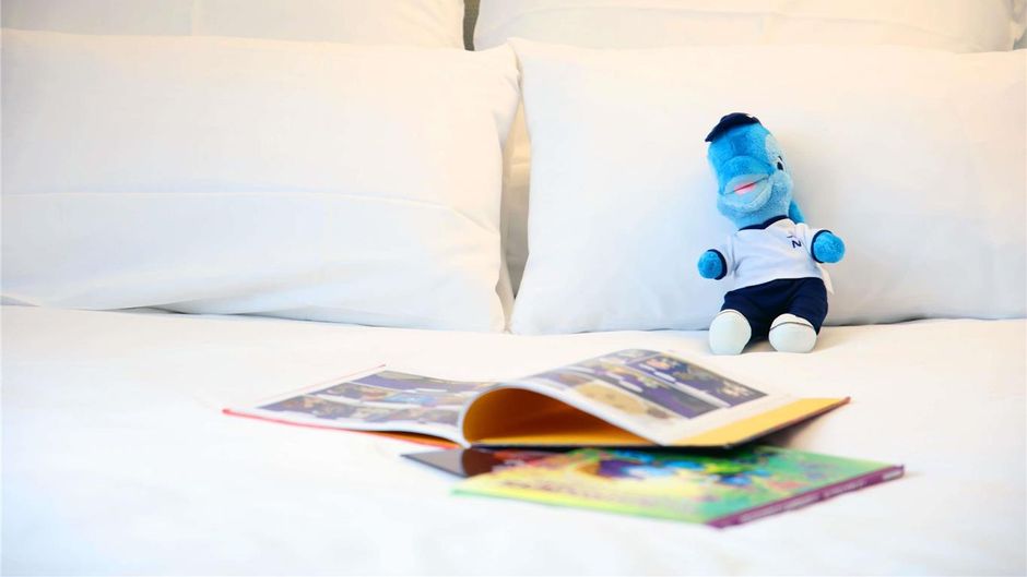 Novotel Lille Centre Room