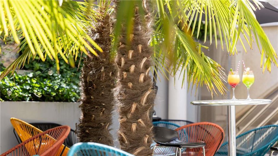 Ibis Paris Alesia Exterior