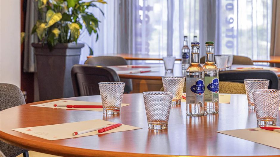 Ibis Hotel Sion Meeting
