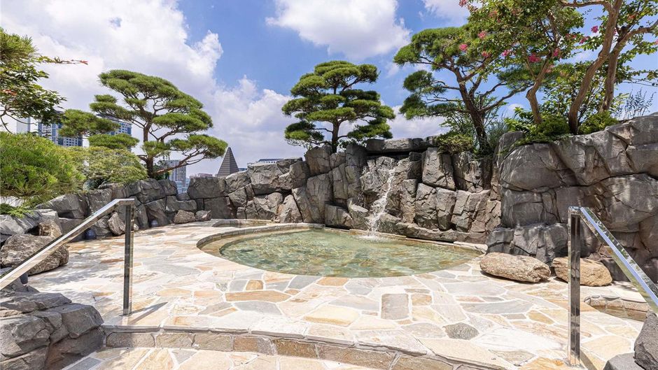 Grand Ambassador Seoul Pullman Pool