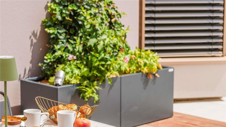 Mercure Colmar Centre Unterlinden Other