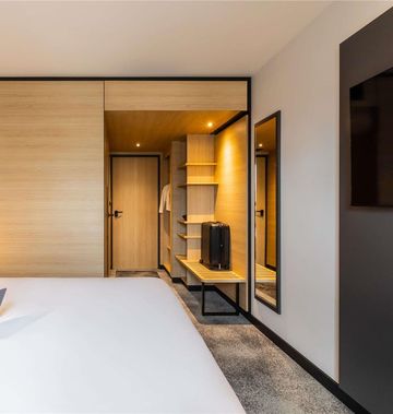 Ibis Sainte Catherine