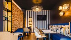 Ibis Sainte Catherine