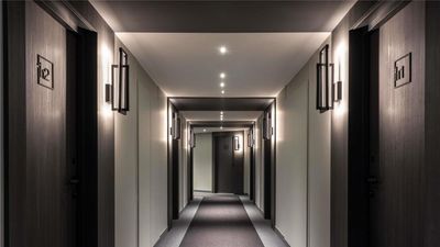 Ibis Sainte Catherine