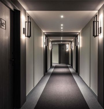 Ibis Sainte Catherine