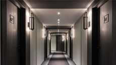 Ibis Sainte Catherine