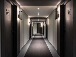 Ibis Sainte Catherine