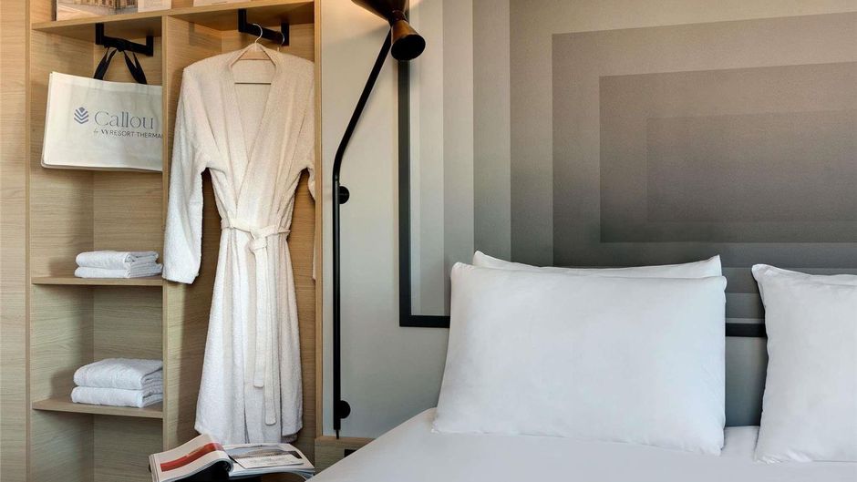 Ibis Vichy Room
