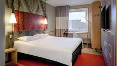 Ibis Muenster
