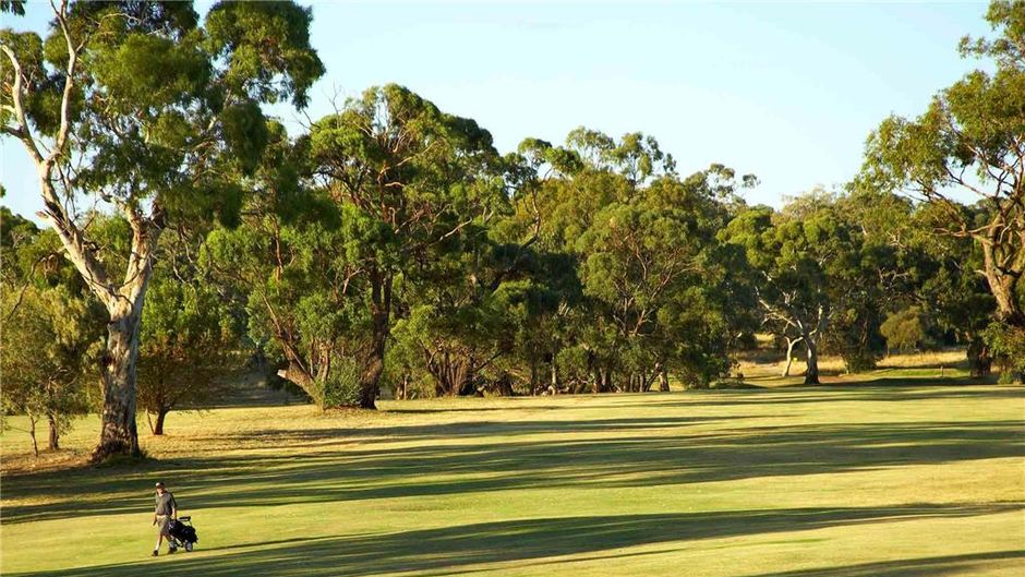 Novotel Barossa Valley Resort Golf