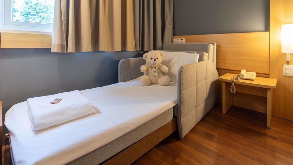 Ibis Paulinia Room