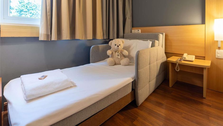 Ibis Paulinia Room