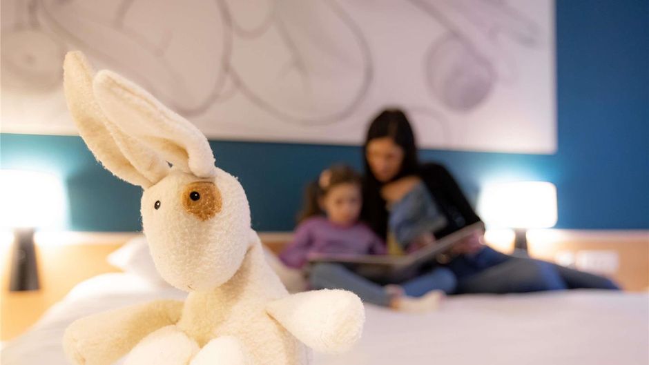 Ibis Besancon La City Room