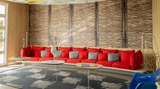 Ibis Macae