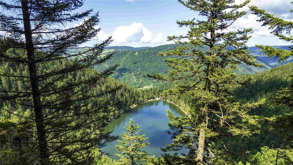 Hotel Ibis La Bresse Gerardmer Other