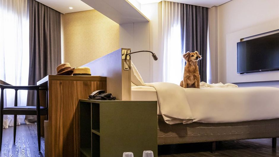 Mercure Apartments Florianopolis Itacoru Room