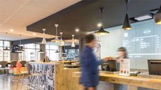 Ibis Albi