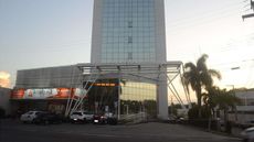 Ibis Mossoro