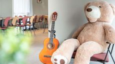Ibis Orleans Chapelle St Mesmin