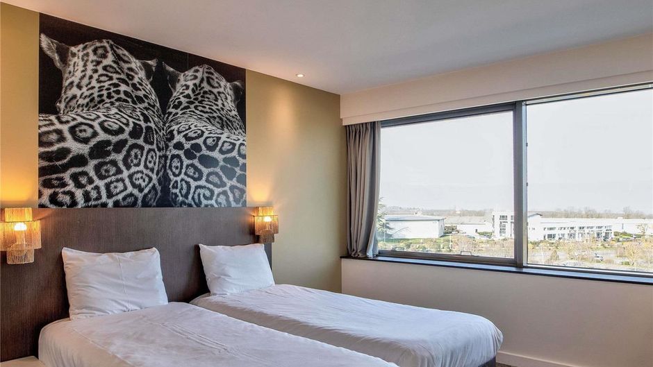 Ibis Styles St Julien en Genevois Vitam Room