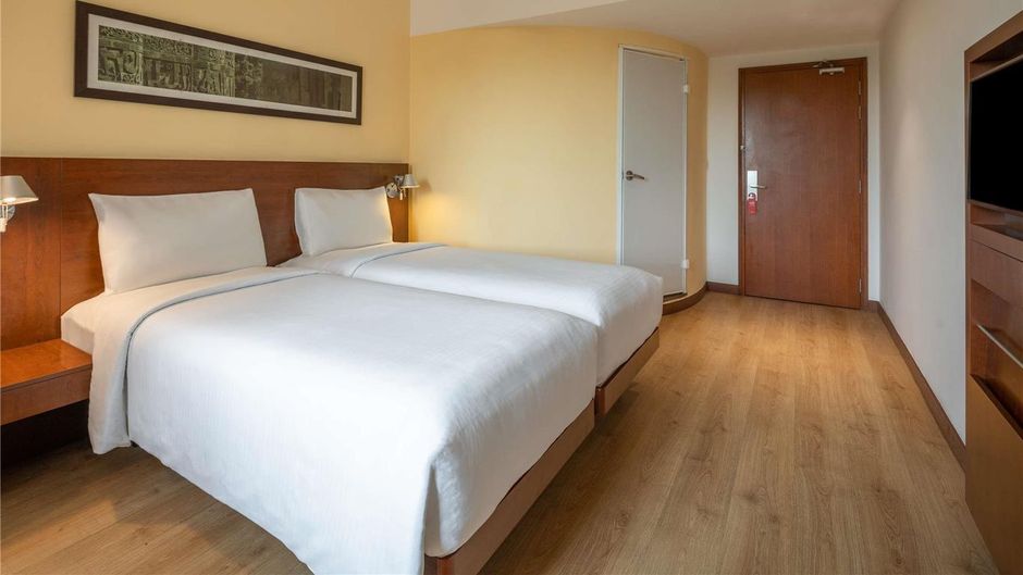 Ibis Delhi Airport Room