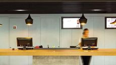 Ibis Cascavel