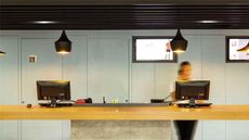 Ibis Cascavel
