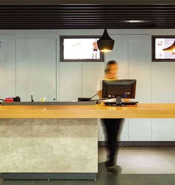Ibis Cascavel