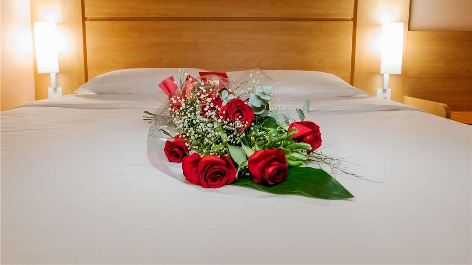 Ibis Novo Hamburgo Other