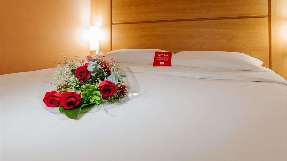 Ibis Novo Hamburgo Other