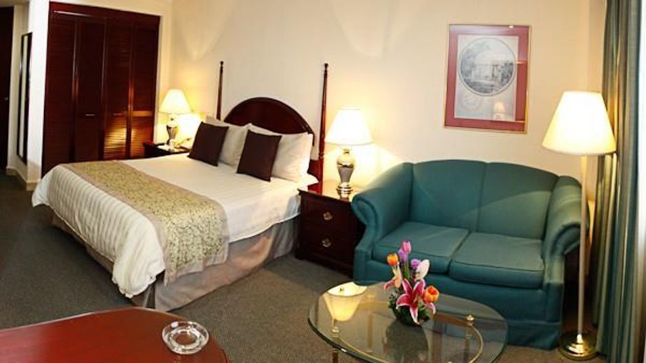 Pedregal Palace Hotel Room