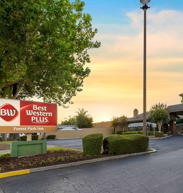 Best Western Plus Forest Park Inn