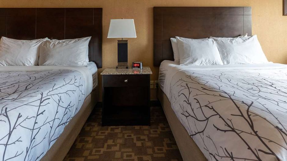 Best Western Plus South Edmonton Inn/Ste Room