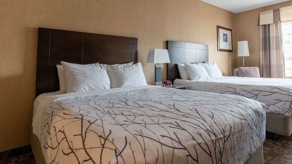 Best Western Plus South Edmonton Inn/Ste Room