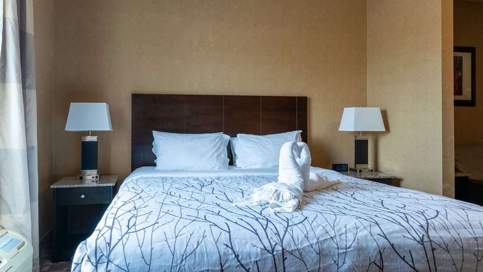 Best Western Plus South Edmonton Inn/Ste Room