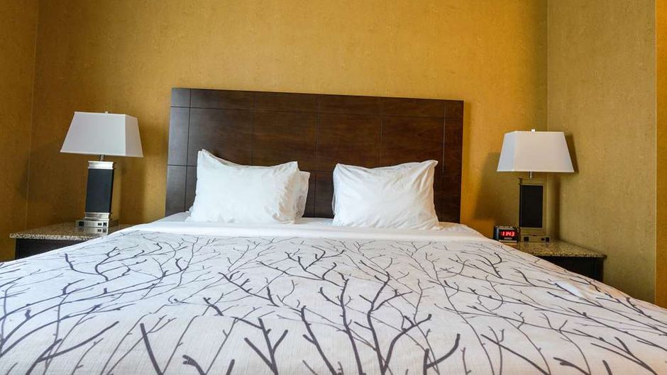 Best Western Plus South Edmonton Inn/Ste Room