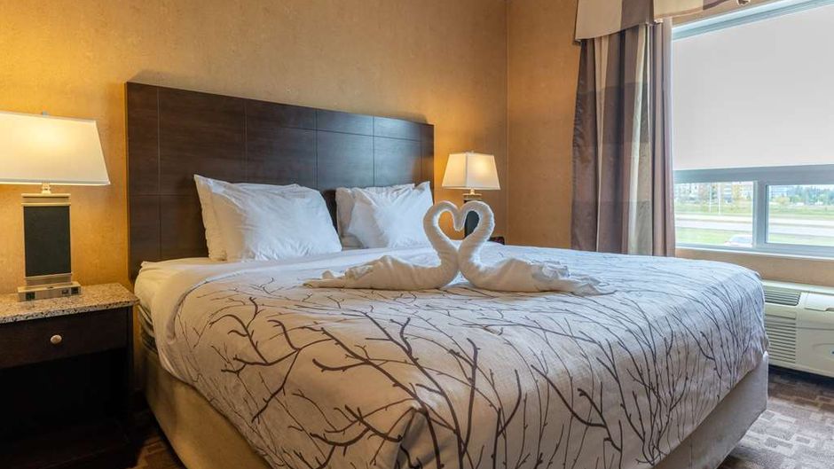 Best Western Plus South Edmonton Inn/Ste Room