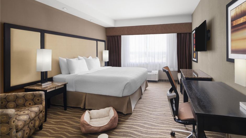 Best Western Premier Freeport Inn/Stes Room