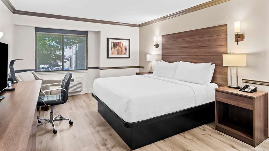 Best Western Maple Ridge Hotel Room