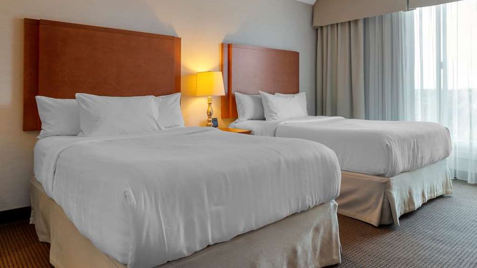 Best Western Plus Gatineau-Ottawa Room