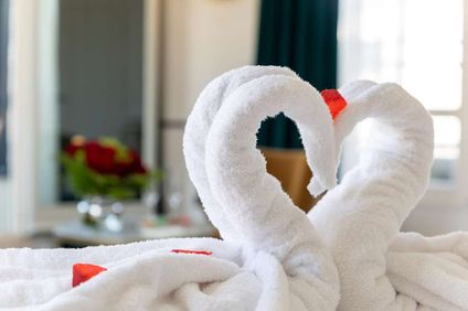 Best Western Plus Hotel du Pont Wilson