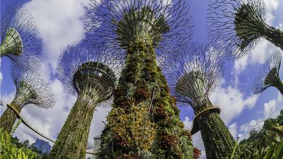 Grand Hyatt Singapore