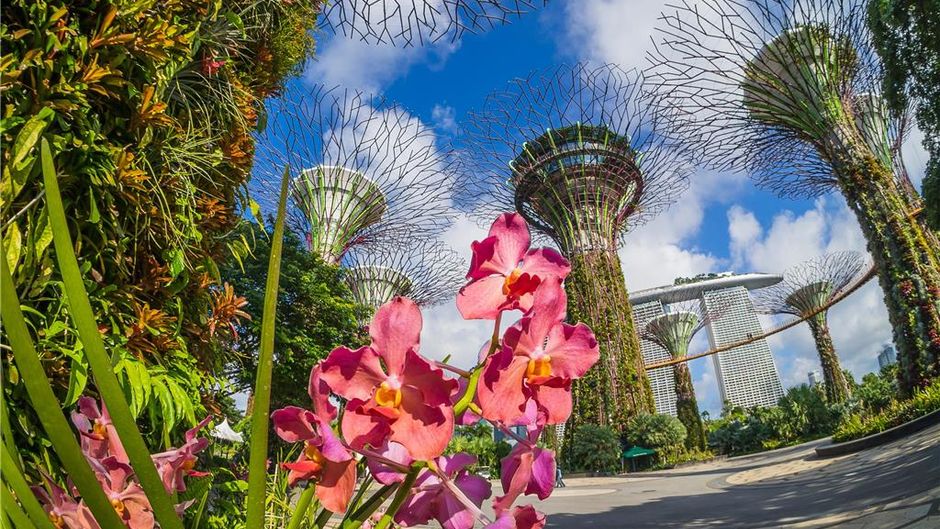 Grand Hyatt Singapore Exterior