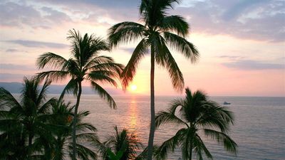 Playa Los Arcos Hotel Beach Resort & Spa